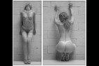 Contributions 2