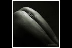 Fesses--14-.jpg