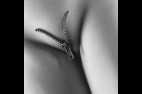 Sexe--40-.jpg