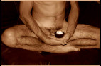 choup-lotus-1.jpg