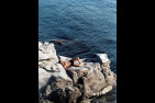 Belles Photos