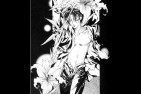Mangas & Dessins