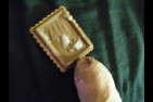soumis-alex--9-.jpg