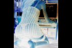 IMGP1658n.gif
