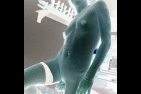 P1010045.gif