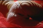 Fesses-.008.jpg