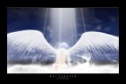 ange--2-.jpg