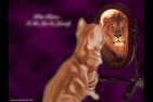 chat-lion.jpg