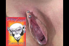 _sex-a-gogo_piercing_&_tatouage