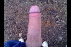 06032007041.jpg