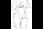La Lionne