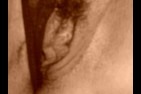mardi27-006.jpg