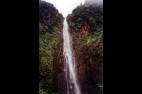 GUADELOUPE-2000--28.jpg