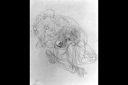 Bellmer7