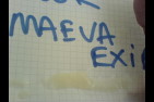 pourmaeva3.jpg