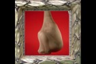 003---CHRYSALIDE.jpg