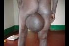 grosses-couilles (17)