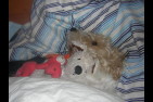 DSCN2667.jpg