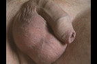Bite13.jpg