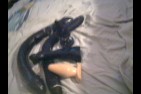 Picture 1224