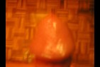 P1010017.JPG