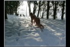 Lueur1