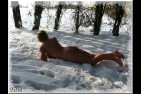 Si froid11