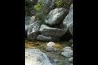 La rivière de la vallée de la restonica en Corse