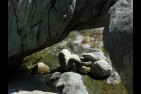 La rivière. Corse