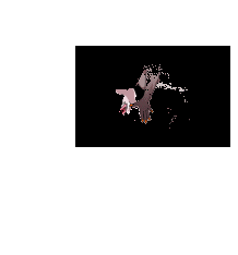 171.gif