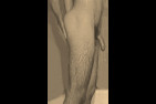 UneQueueentre2jambes05.jpg