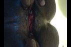 2011-09-12 15.20.17