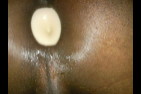 SNC00475