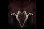 Intime shibari