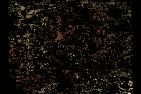 branle_02.gif