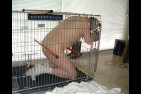 ETHANF0720-copie-1.JPG