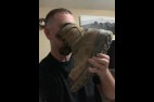 SMTF 0240 *******