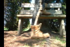 BOOTS-5F0009.jpg