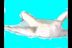 Baise-moi-17.jpg
