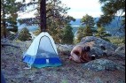 img_225259_983512.jpg