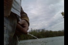 Photo036