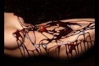 chocolat 013