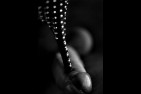 Domme sub 8