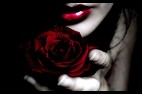 Rose Rouge (15)