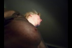 SAM 0503