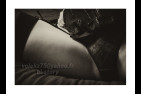  DSC6705
