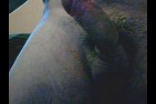 GetAttachment-8.aspx.jpeg