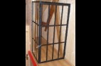 1-cage2.jpg