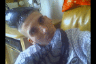 1162975261.gif