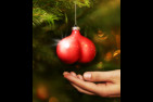 Xmas-balls
